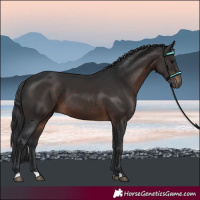 Horse Color:Brown 