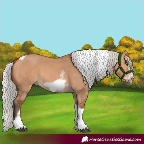 Horse Color:Silver Bay Dun Sabino Tobiano Frame Rabicano