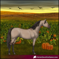 Horse Color:Liver Red Dun 