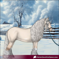 Horse Color:Silver Classic Champagne Dun Splash Frame 