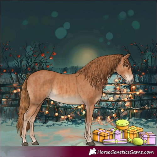 Horse Color:Chestnut  and Chestnut 