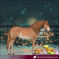 Horse Color:Chestnut and Chestnut