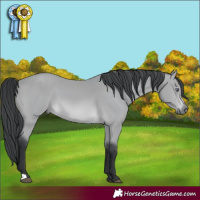 Horse Color:Bay Chinchilla 