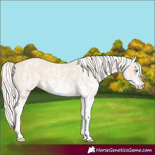 Horse Color:Cremello Sabino  and Cremello Sabino 