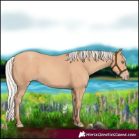 Horse Color:Silver Amber Champagne