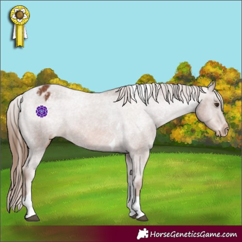 Horse Color:Chestnut Tobiano Varnish 