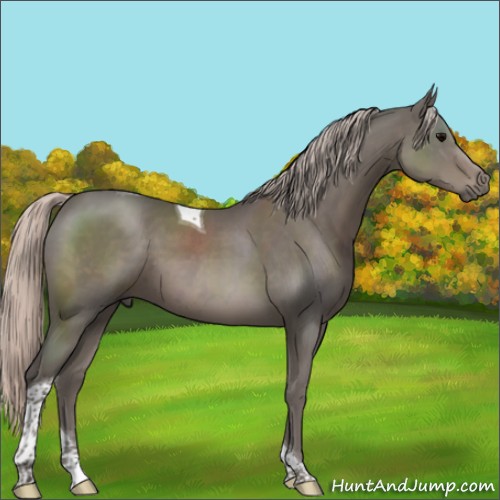 Horse Color:Silver Black Sabino Tobiano 
