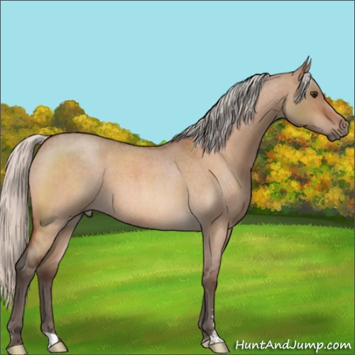 Horse Color:Silver Brown Roan Dun Sabino 