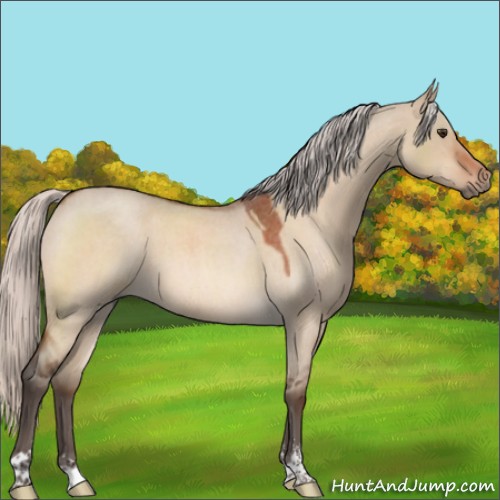Horse Color:Silver Brown Roan Dun Sabino 