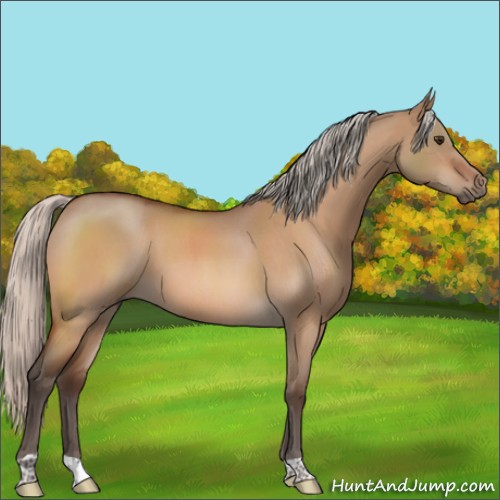 Horse Color:Silver Brown Roan Dun 