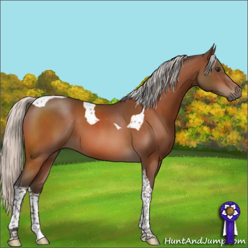 Horse Color:Silver Brown Sabino Tobiano 