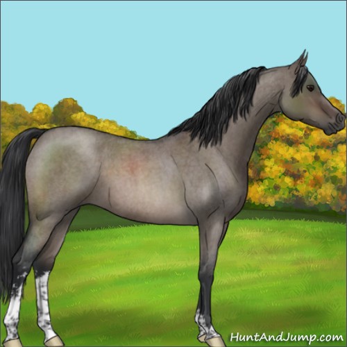 Horse Color:Brown Roan Dun Sabino 