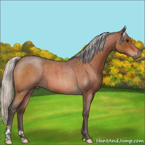 Horse Color:Silver Bay Roan Sabino 