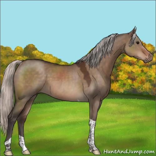 Horse Color:Silver Brown Dun Sabino Tobiano 