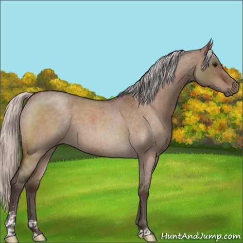 Horse Color:Silver Brown Roan Dun Sabino 
