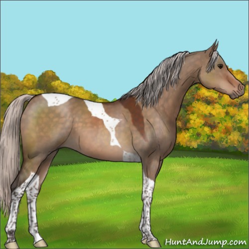 Horse Color:Silver Brown Dun Sabino Tobiano 