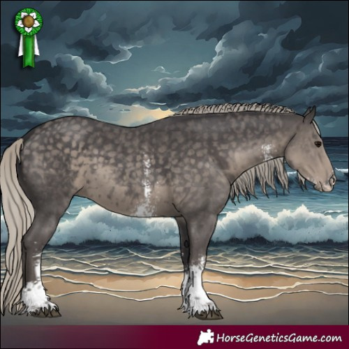 Horse Color:Silver Smoky Black Sabino 