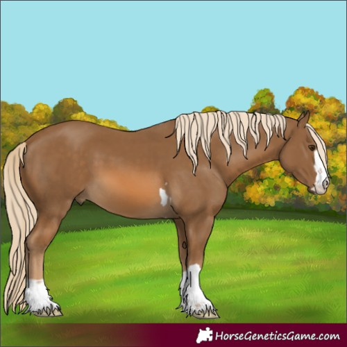 Horse Color:Unknown 