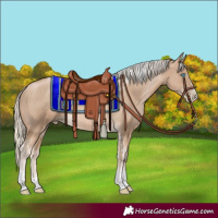Horse Color:Chocolate Palomino Pearl Tobiano Frame and Chocolate Palomino Pearl Tobiano Frame Rabicano