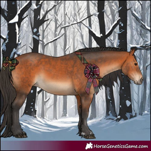 Horse Color:Bay and Bay