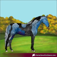 Horse Color:ERROR: UNKNOWN ANOMALY