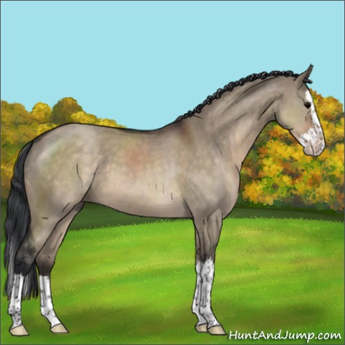 Horse Color:Brown Roan Dun Sabino Splash 