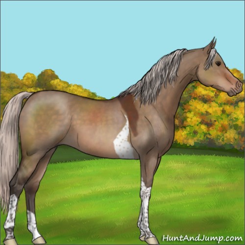 Horse Color:Silver Brown Dun Sabino Tobiano 