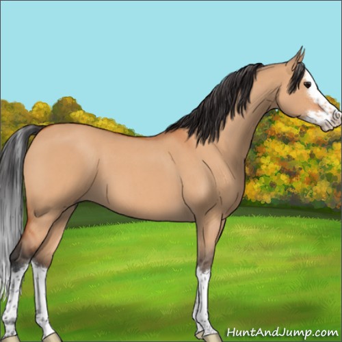 Horse Color:Bay Roan Dun Splash 