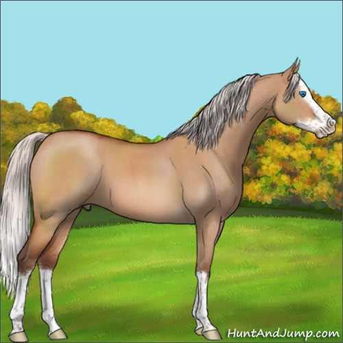 Horse Color:Silver Brown Roan Dun Sabino Splash 