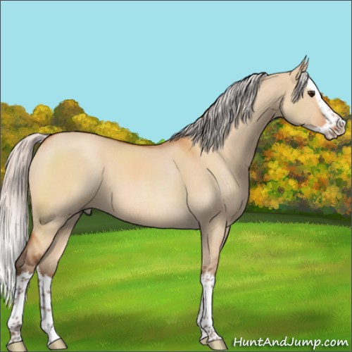 Horse Color:Silver Bay Roan Dun Sabino Splash 