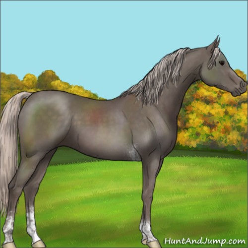 Horse Color:Silver Black Sabino Tobiano 