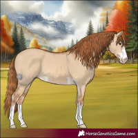 Horse Color:Red Dun 