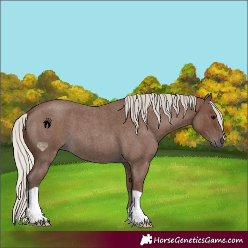 Horse Color:Silver Blue Roan 