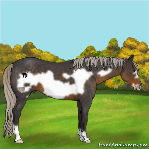 Horse Color:Silver Smoky Blue Roan Frame 