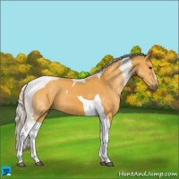Horse Color:Silver Buckskin Tobiano