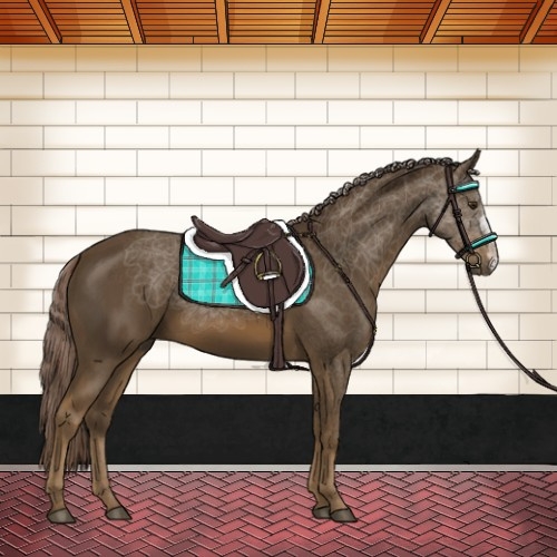 Horse Color:Chocolate Palomino 