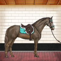 Horse Color:Chocolate Palomino 