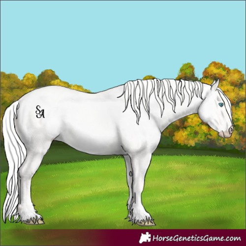 Horse Color:Silver Smoky Creme Dun 