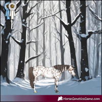 Horse Color:Bay Roan Frame Near Leopard Rabicano 