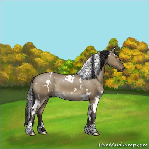 Horse Color:White Spotted Smoky Grullo 