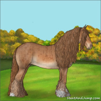Horse Color:Chestnut  and Chestnut 