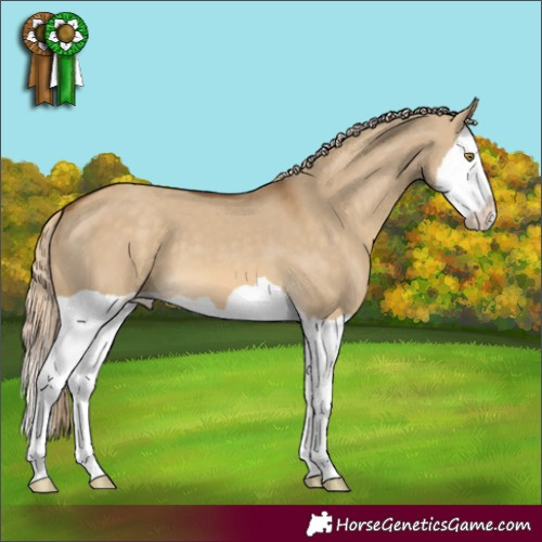 Horse Color:Chocolate Palomino Dun Splash