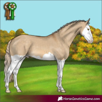 Horse Color:Chocolate Palomino Dun Splash