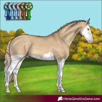 Horse Color:Chocolate Palomino Dun Splash 