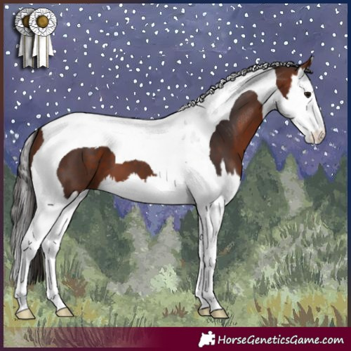 Horse Color:Bay Splash Tobiano 