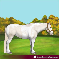 Horse Color:Chocolate Palomino Dun Sabino Tobiano Varnish 