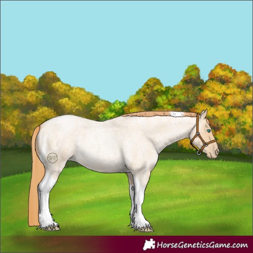 Horse Color:Smoky Blue Roan Pearl Tobiano
