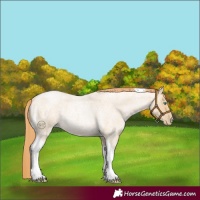 Horse Color:Smoky Blue Roan Pearl Tobiano