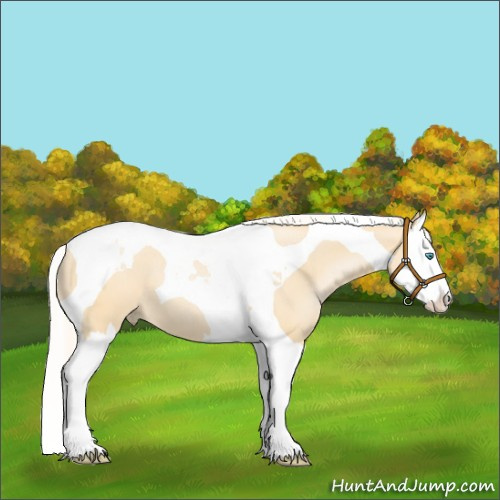 Horse Color:Silver Buckskin Pearl Splash Tobiano 