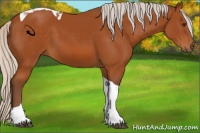Horse Color:Silver Buckskin Tobiano 